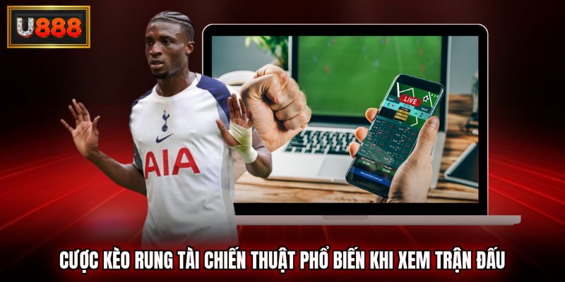 cược kèo rung tài