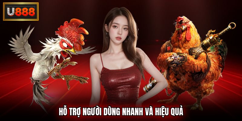 Hỗ trợ người dùng hiệu quả