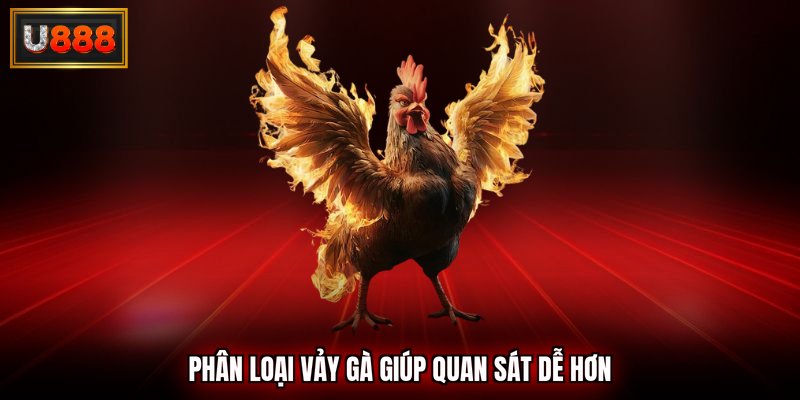 Phân loại vảy gà giúp quan sát dễ hơn