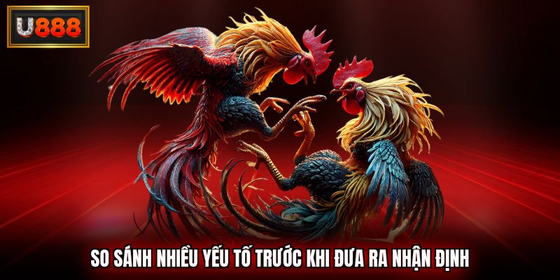 So sánh nhiều yếu tố trước khi đưa ra nhận định